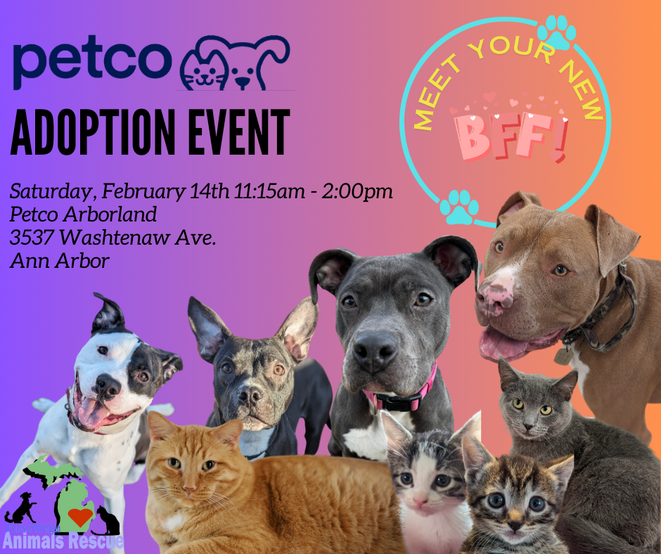 Petco Arborland Adoption Event 