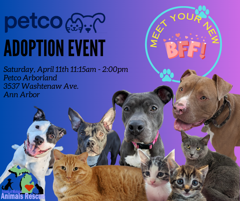 Petco Arborland Adoption Event 
