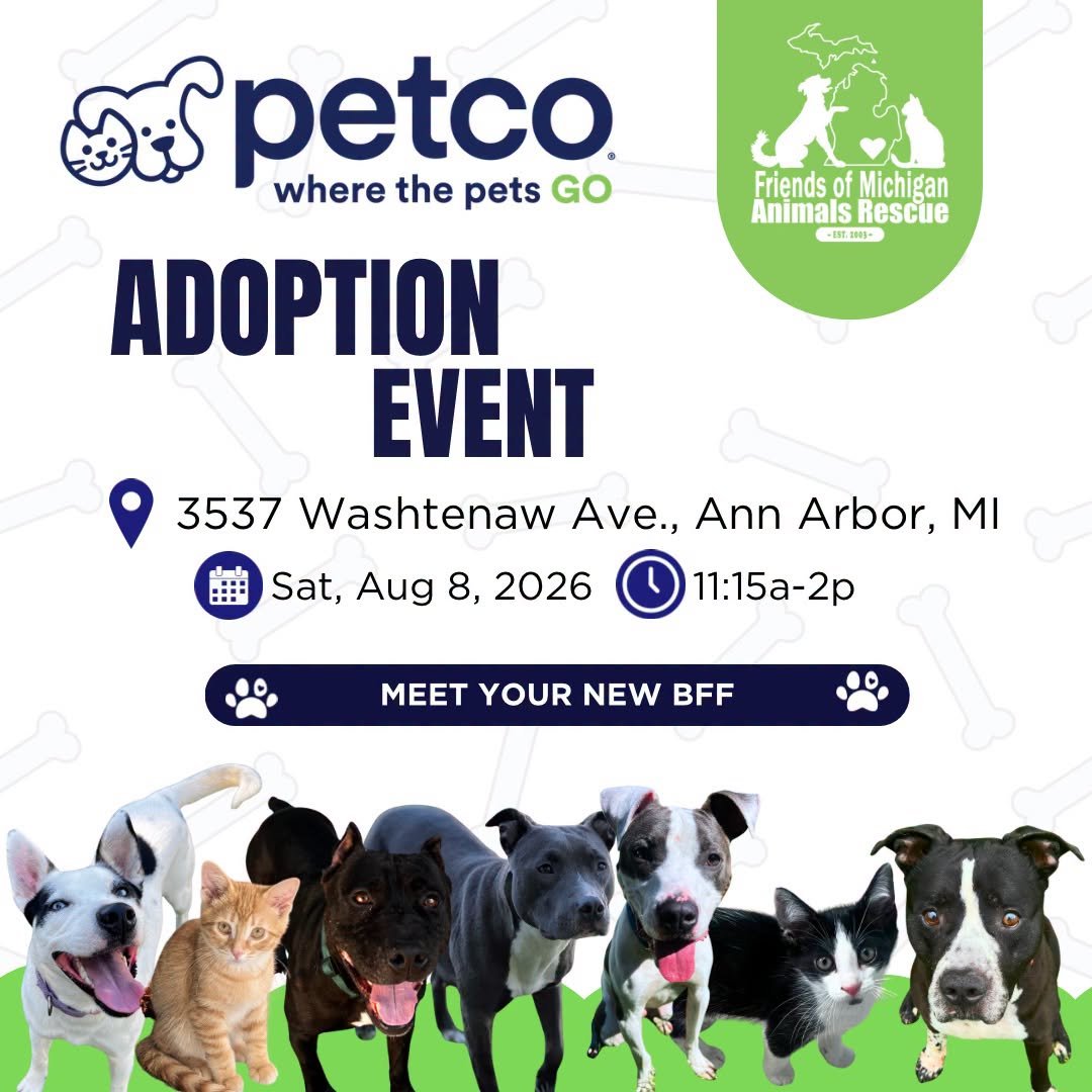 FMAR August Adoption Event at Petco