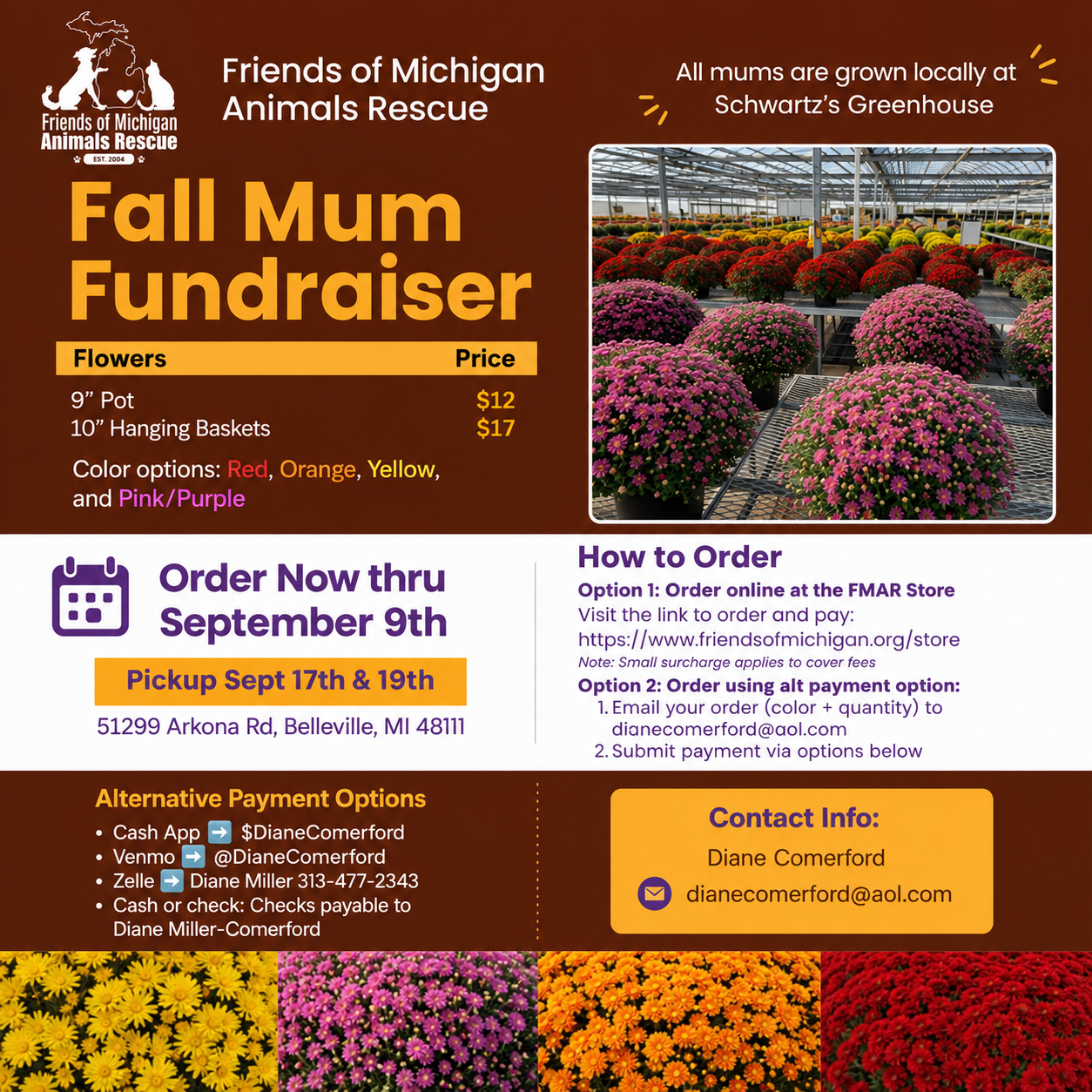 Fall Mum Sale