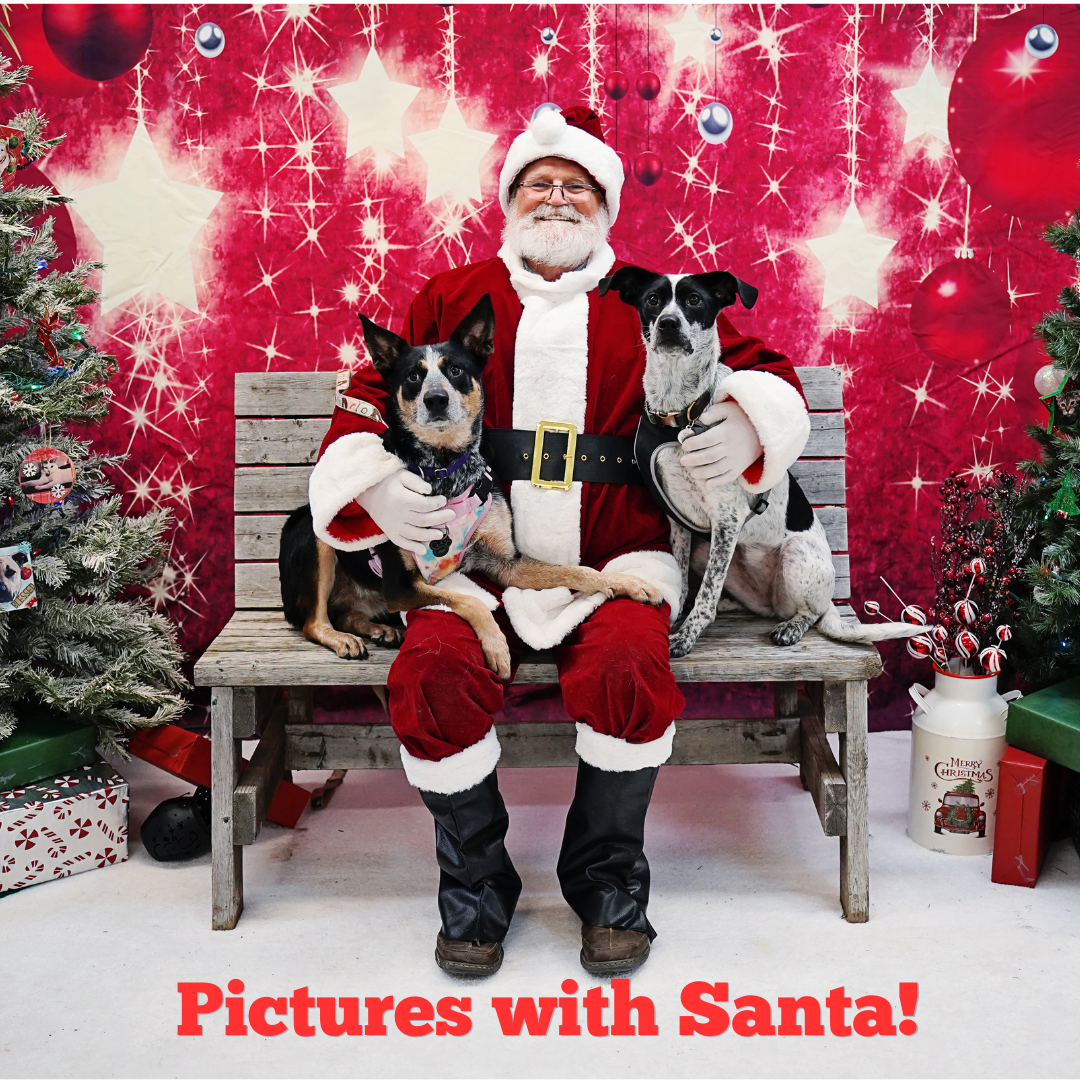 Pictures with Santa!