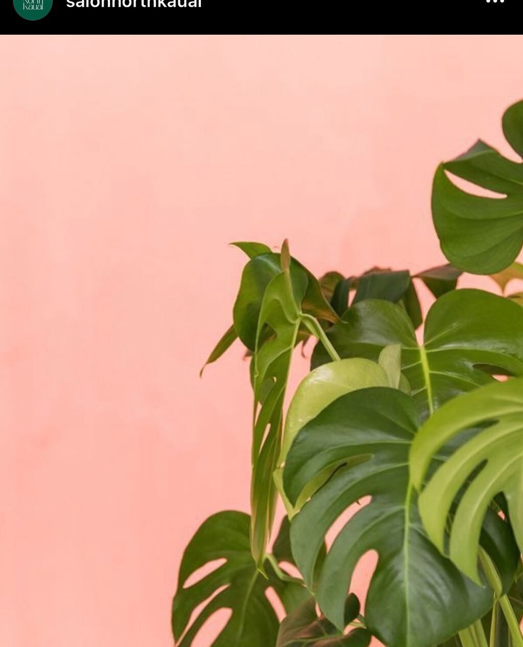 Ready for a fresh glow up this summer?
Come see me at Salon North for Self Care Saturdays in Kilauea!

Menu and booking options in link in bio.
See you in the spa room! 💚

Image repost&mdash; @salonnorthkauai