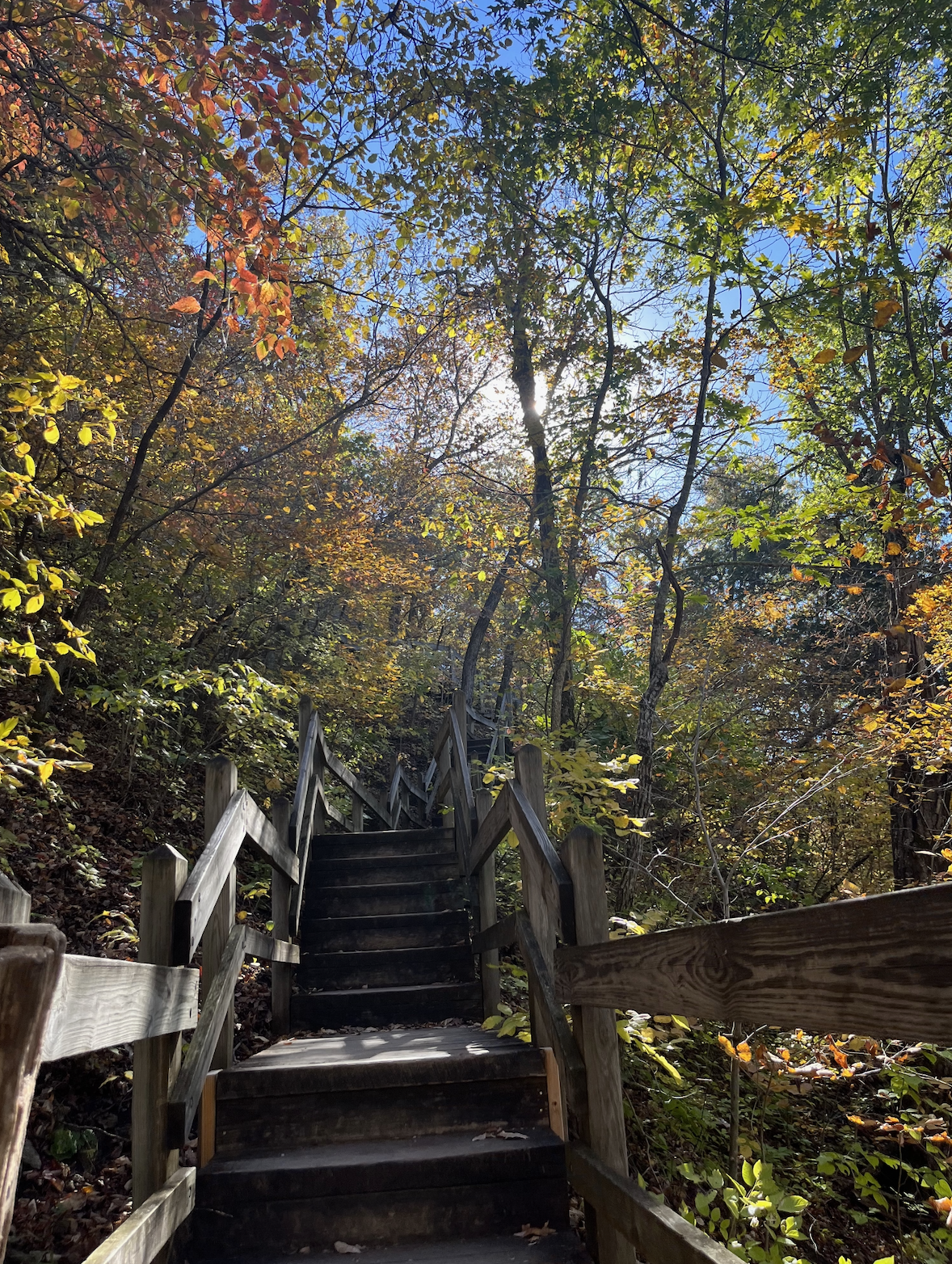 hiking.png
