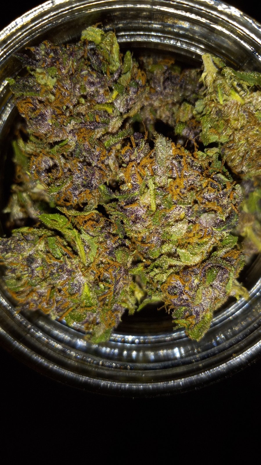 dried purple platinum 1.jpeg