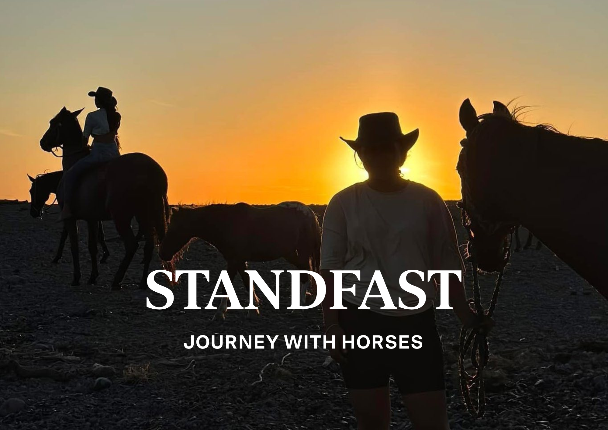 Inspiring Design delivered full production for Standfast Stables, creating their portfolio website from branding to web, from concept to launch.
