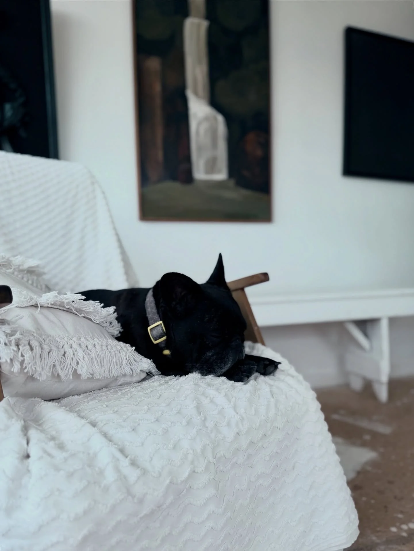 Welcome to the top floor of our studio where light, calm, and creativity meet. ✨ Take a peek through the corners of magic tucked inside this space the perfect spot for a sunny afternoon of admin with a view of the racecourse. 🌿 

#InspiringDesign #S