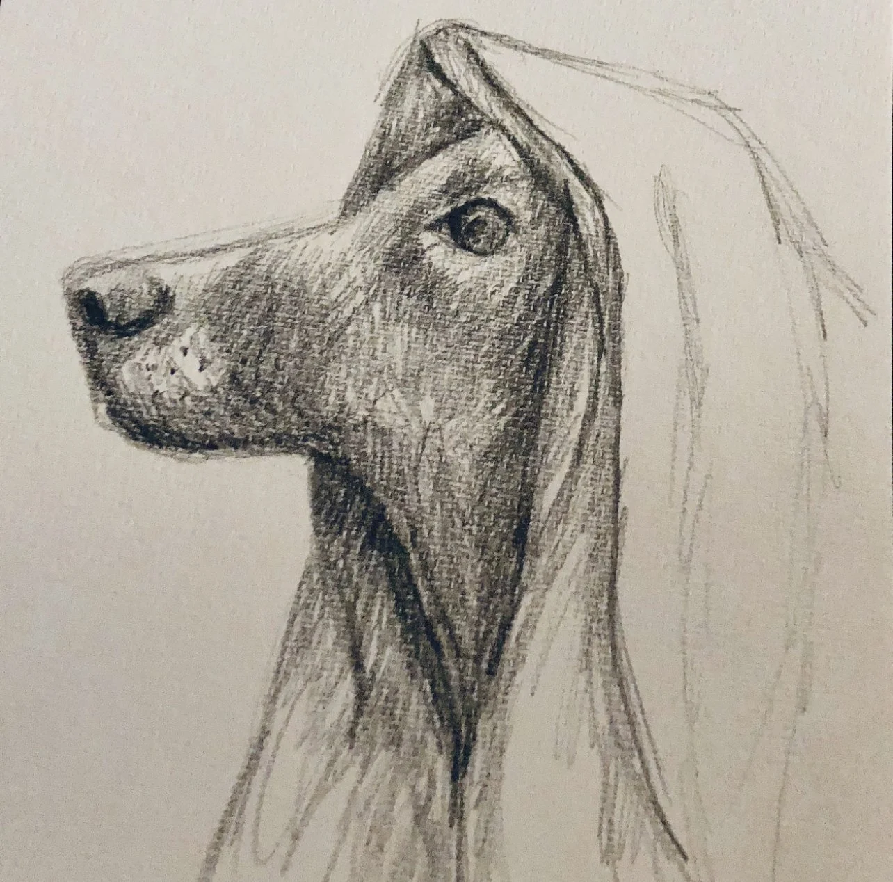 Neil, Charcoal Drawing