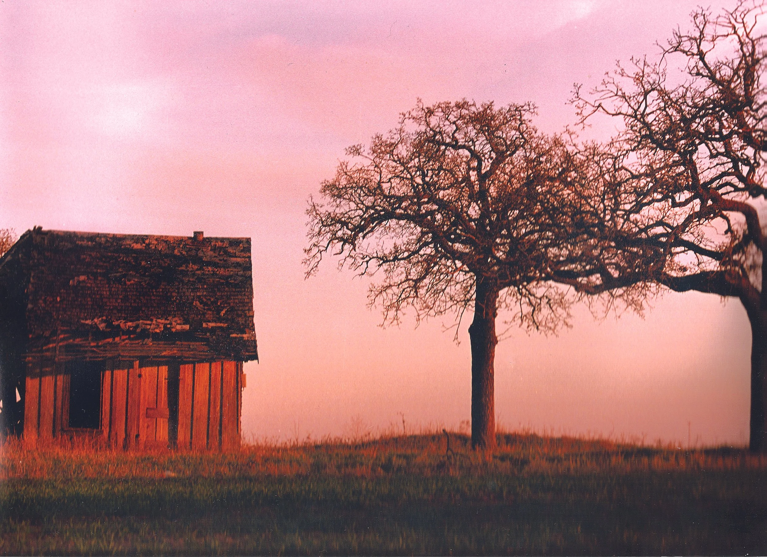 Texas morning, Kodak Portra print