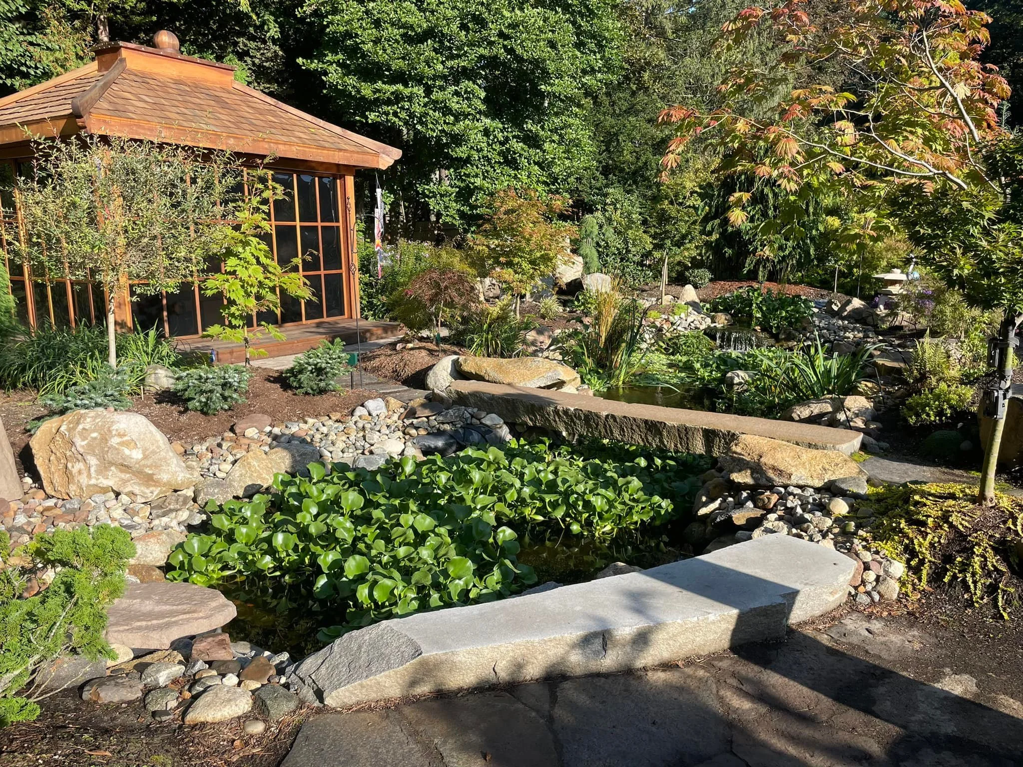 pond 9.jpg