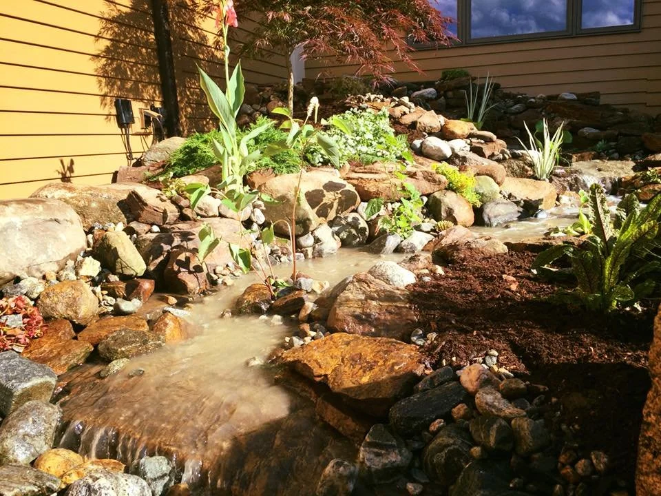 pond 12.jpg