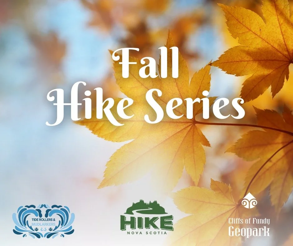 🥾 Join our Certified Tour Operator, Tide Rollers &amp; Mudlarkers, for the Hike NS Fall Guided Hike Series!

They&rsquo;re offering 4 more guided hikes within the Cliffs of Fundy UNESCO Global Geopark &mdash; the next one kicks off this Saturday! 🌊