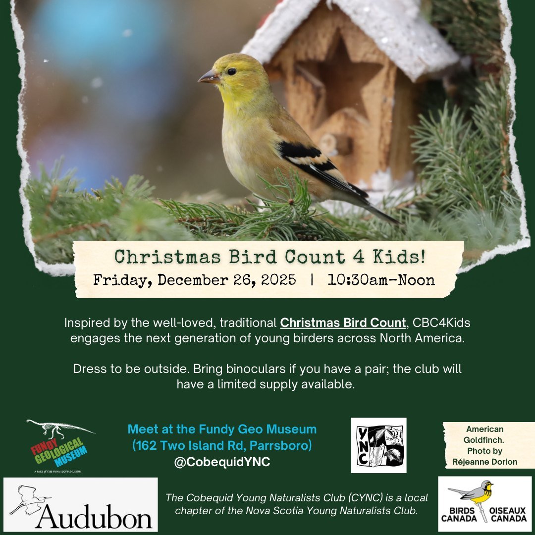 🐦 Christmas Bird Count 4 Kids!

Join the Fundy Geological Museum and the Cobequid Young Naturalists Club for this fun, annual birding event just for kids and families!

📅 Friday, December 26
🕥 10:30 AM (meet at the Fundy Geological Museum)
🧥 Dres