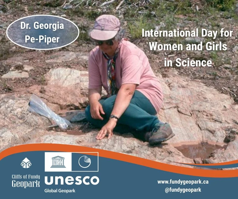 Today we celebrate the International Day of Women and Girls in Science by recognizing the remarkable contributions of Dr. Georgia Pe-Piper 🔬🌍

Dr. Pe-Piper is Professor Emerita in the Department of Earth Sciences at Saint Mary&rsquo;s University in