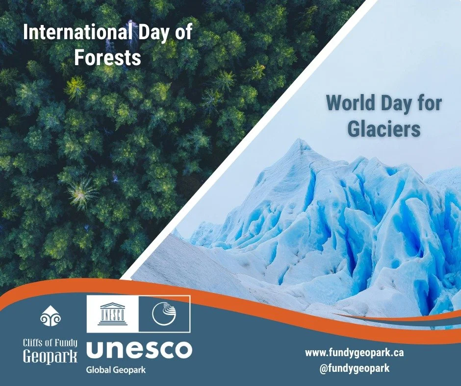 Today, March 21st,  is International Day of Forests and World Day for Glaciers. Here in the Cliffs of Fundy, we live at the beautiful intersection of these two massive forces.

Have you ever looked at the rugged cliffs of Kwesomalegek (Cape Chignecto