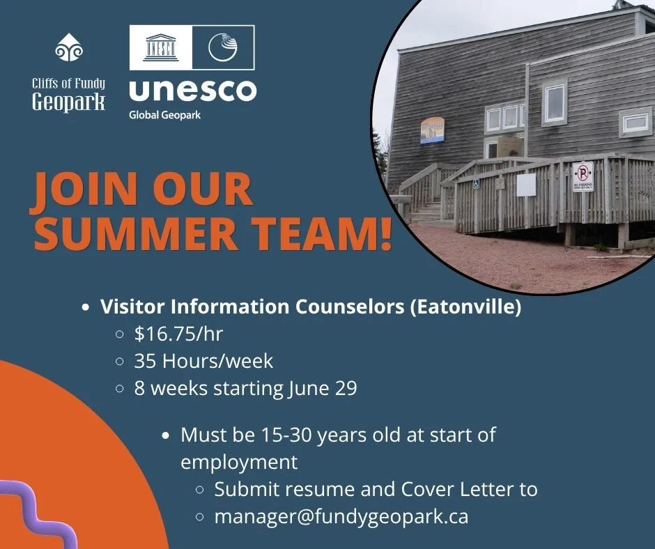 Join our team at the scenic Three Sisters Centre! We are looking for an enthusiastic student to spend their summer in the beautiful Eatonville area, helping us welcome the world to the Geopark.

This role is perfect for someone who enjoys working wit