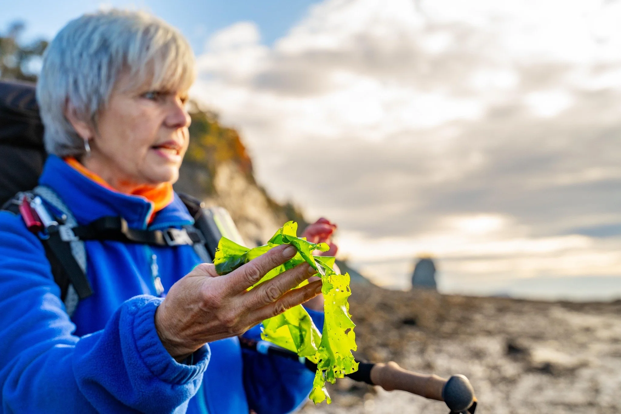Are you looking for guided hikes along the Bay of Fundy this summer? Want to visit some of our most iconic coastal spaces with an expert guide who will safely navigate the world's highest tides and even show you which shoreline seaweeds are edible? ?