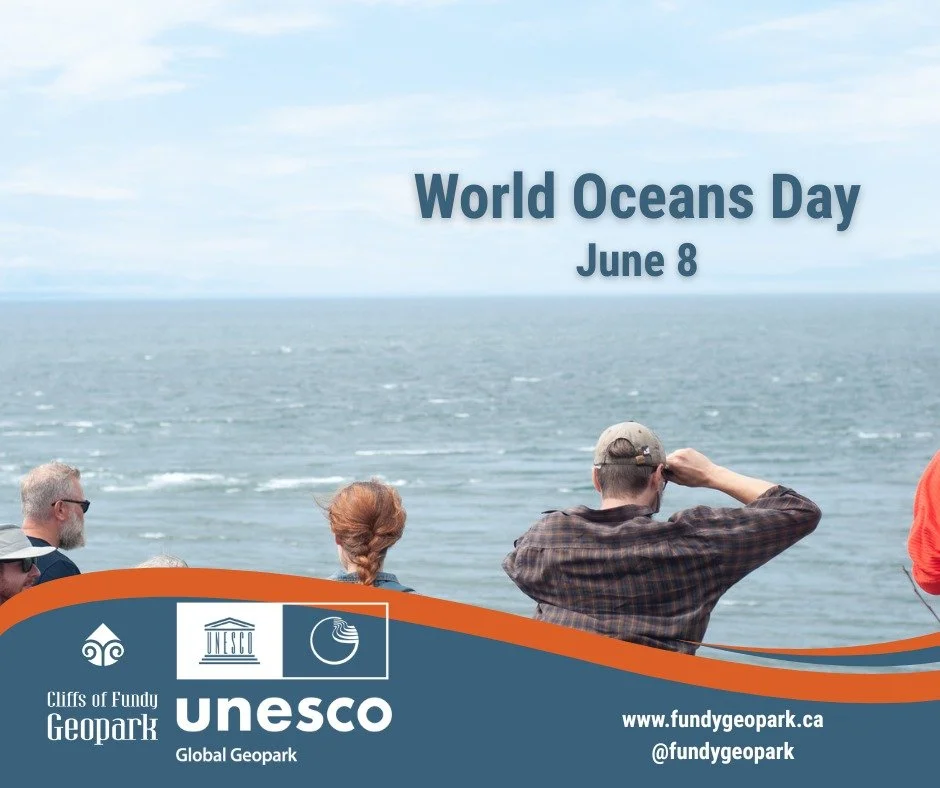 Happy World Oceans Day! Today, as we celebrate the incredible waters of the Minas Basin and the global ocean that connects us all, it is a perfect time to reflect on our shared role in environmental stewardship.

Our shorelines are a vital part of th