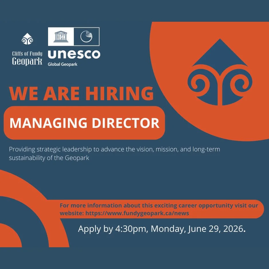 We’re Hiring a Managing Director