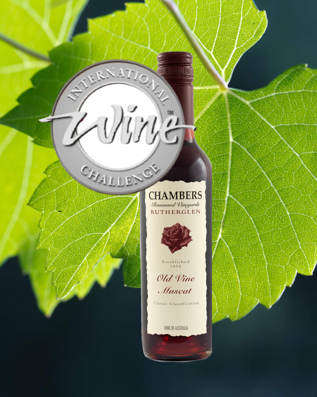 international_wine_challenge_silver_chambers_old_vine _muscat.png