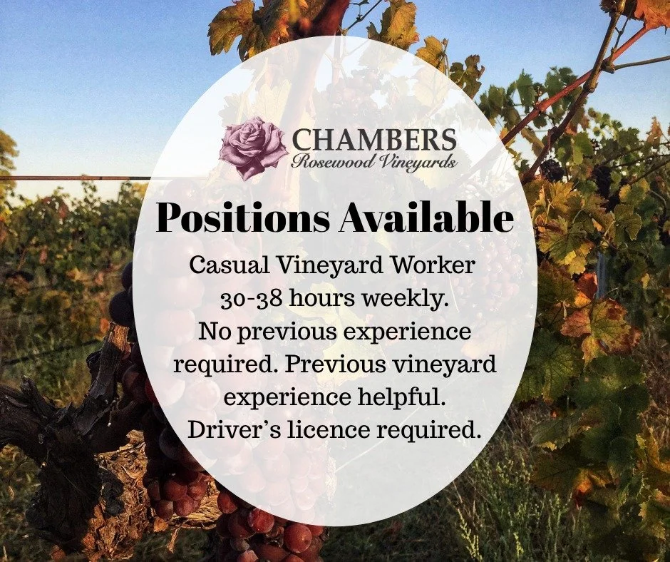 🍇🐑JOIN OUR TEAM - POSITIONS AVAILABLE
- Vineyard Worker, Rutherglen VIC 3685

We are a small, family-owned business in Rutherglen, with around 25 hectares of vineyard. We also run sheep on the property. We are looking for some people to join us at 