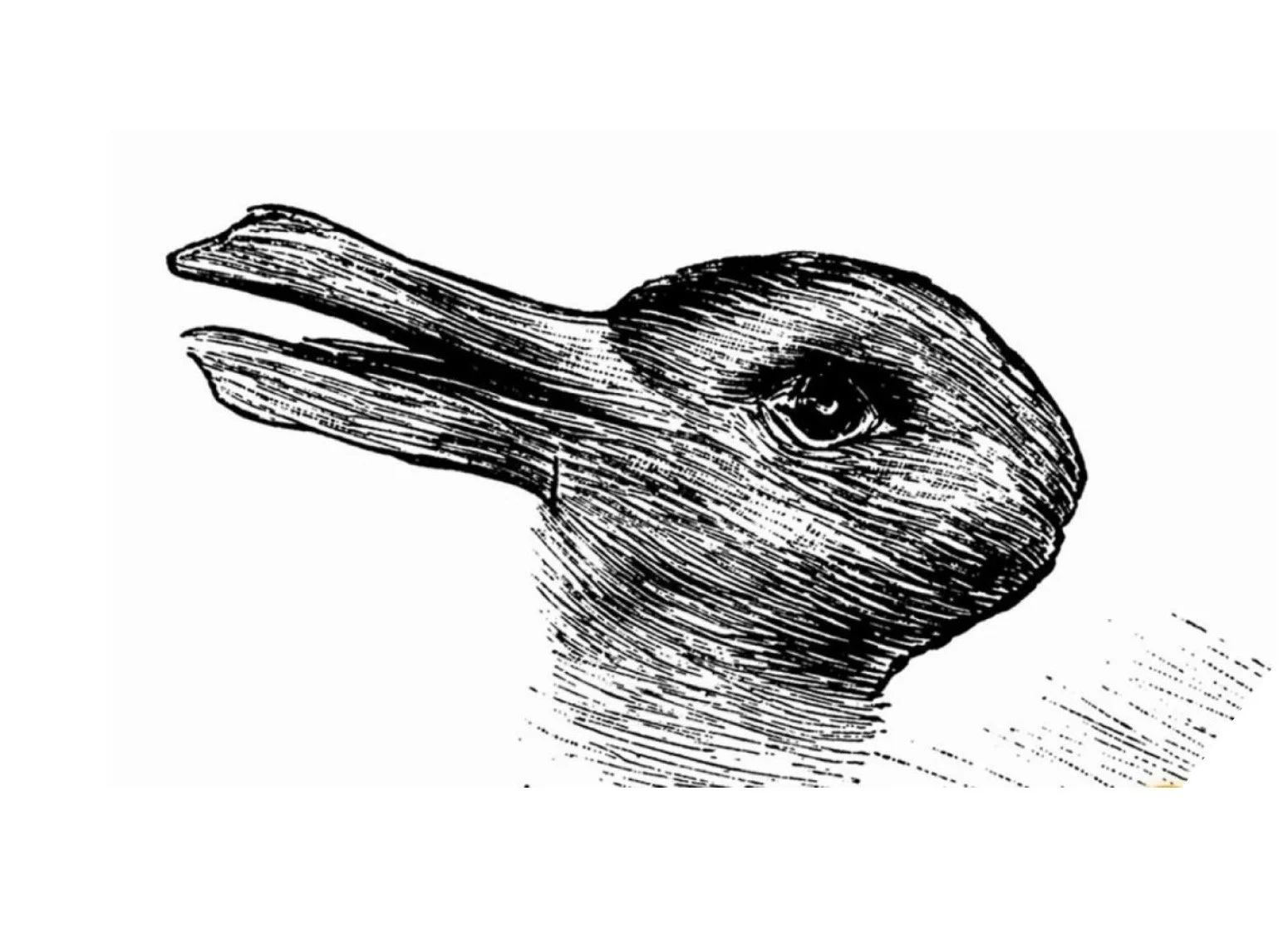 Why most people are persuadable