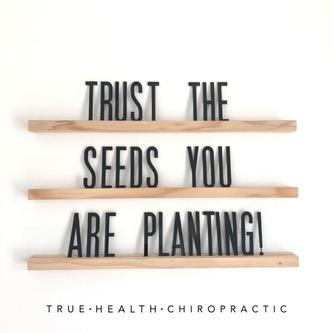 While it may take time to reap the benefits of the changes you are making to improve your health, trust the seeds your are planting! 🌱

Whether you're focusing on balancing your nervous system, proper hydration, moving your body or eating more nouri