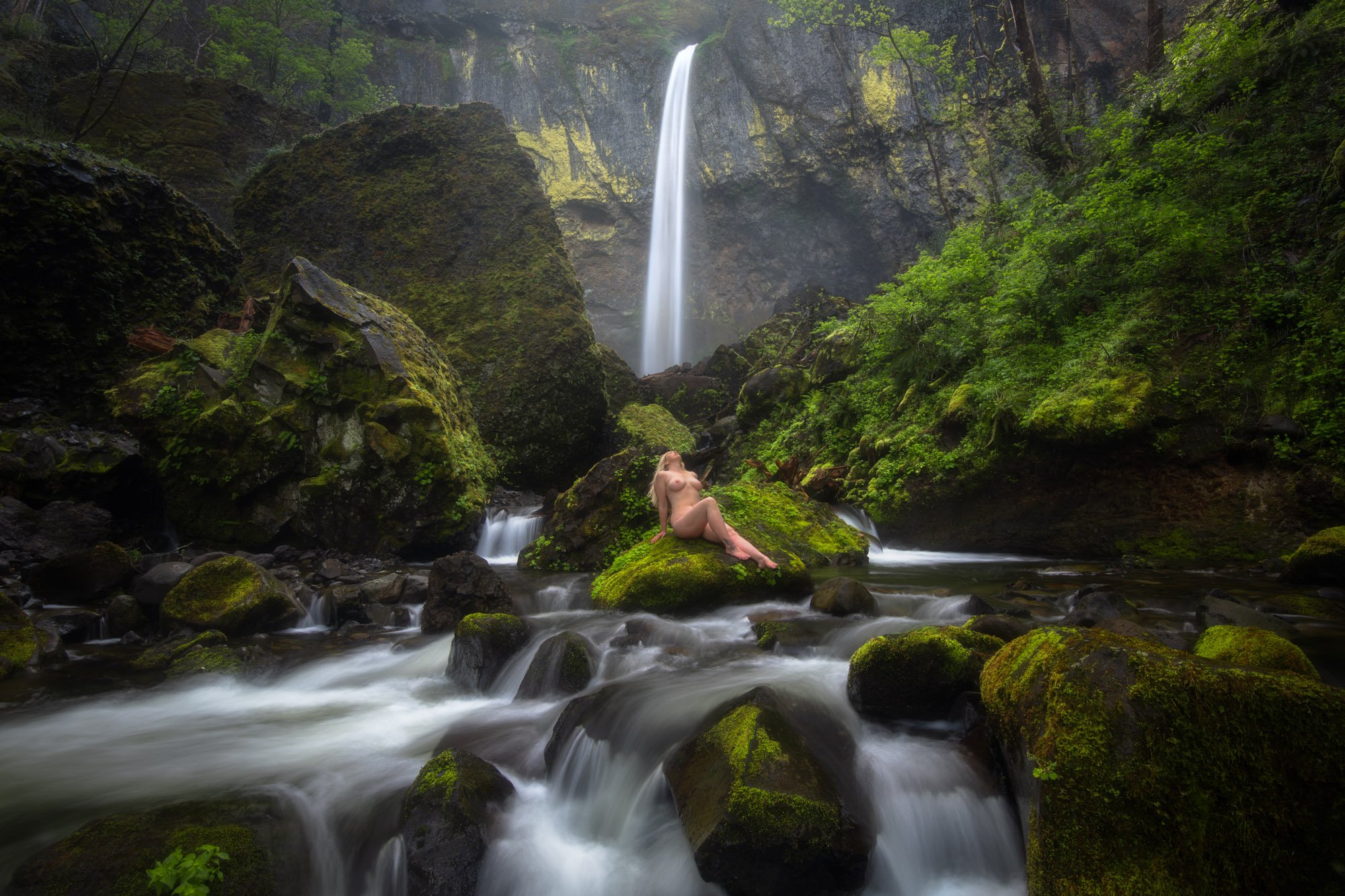 BITW.Elowah.2000px-1.jpg