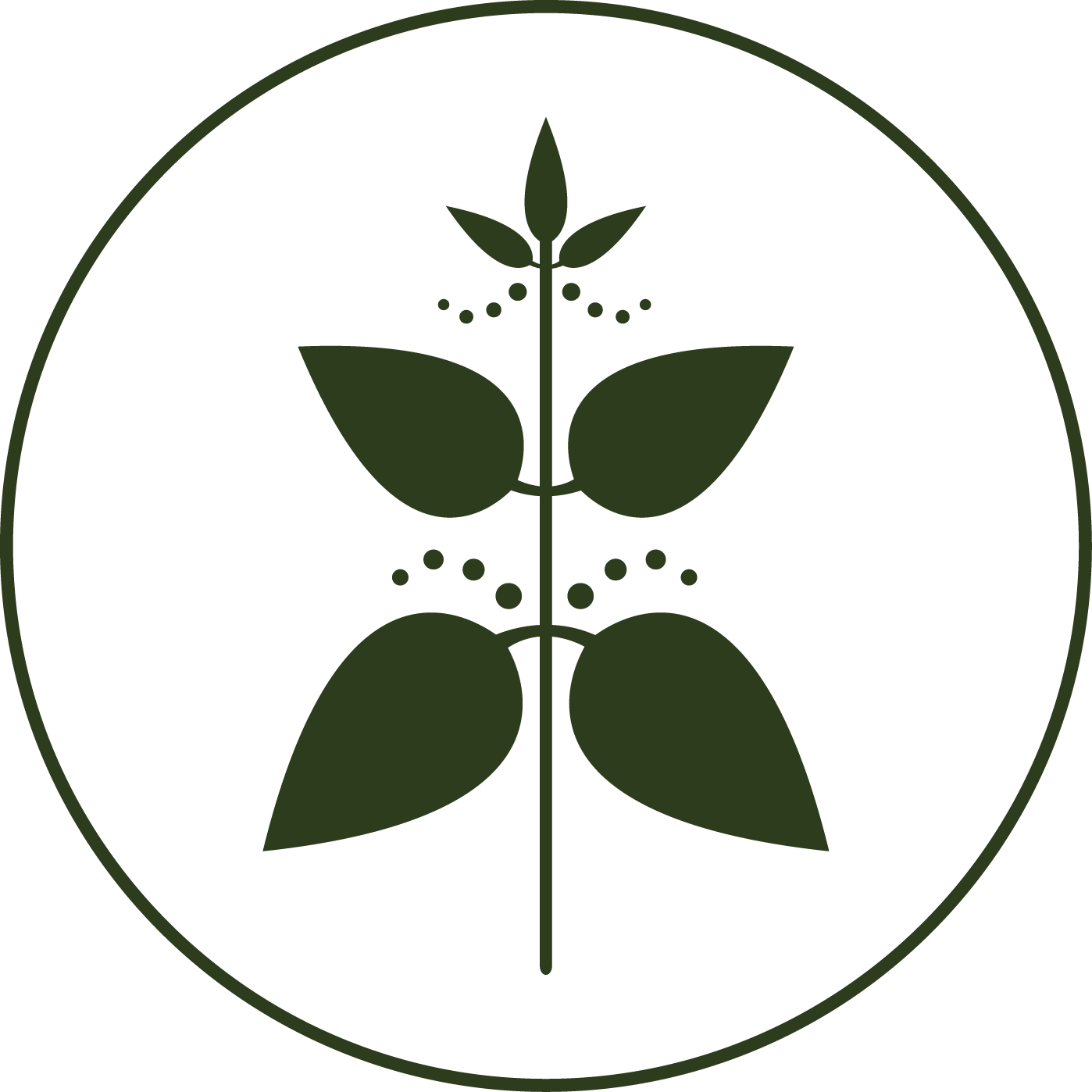 KOPRIVA Skin Studio