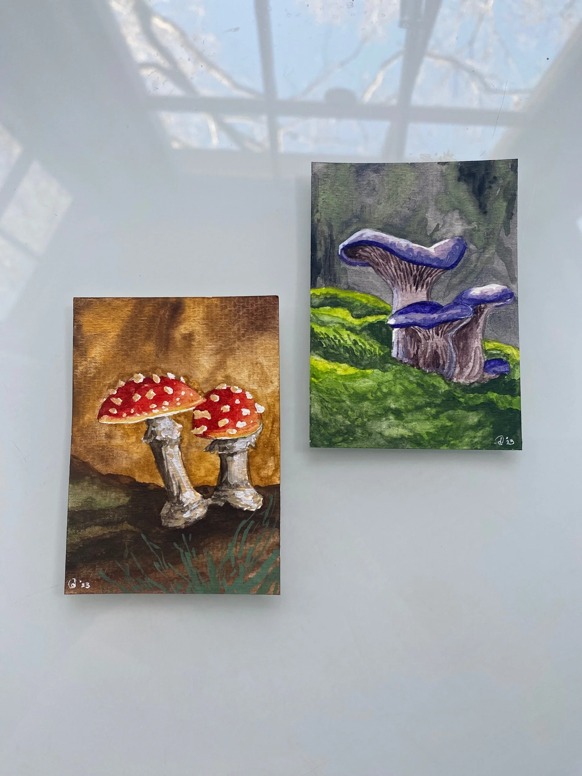 1FD79404-54A2-41D2-ADEC-62CF9DF0AE6D