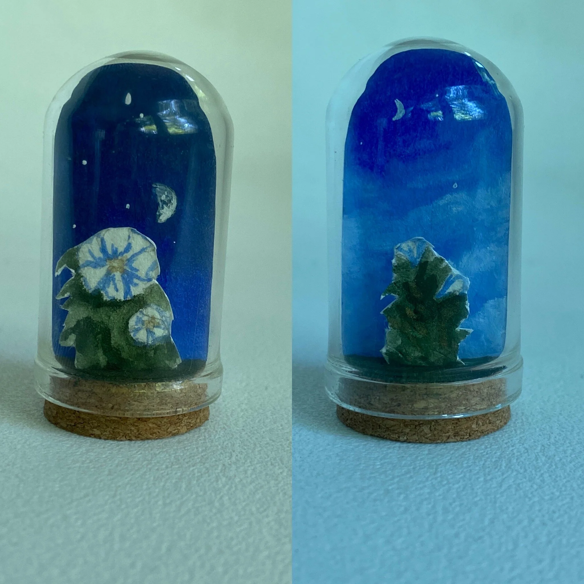 143DA582-6C2B-4BEA-84CF-5EC95FBFDB6A