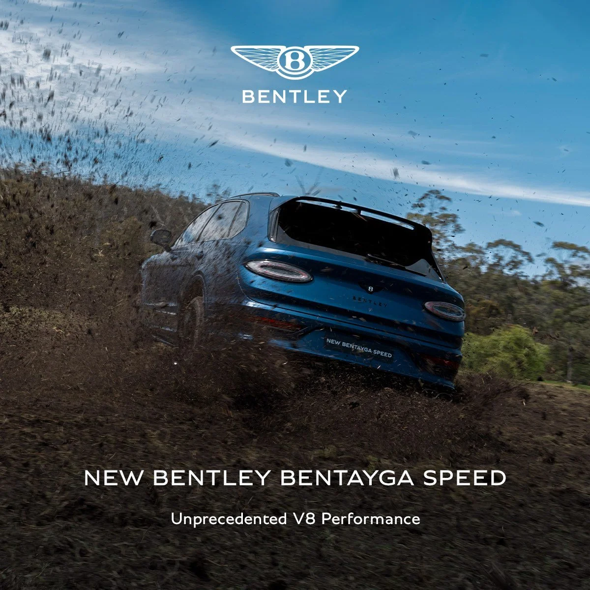 Bentley Auckland