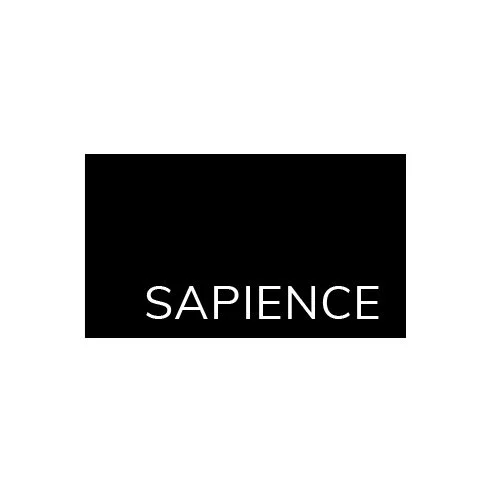 Expert AI for professionals