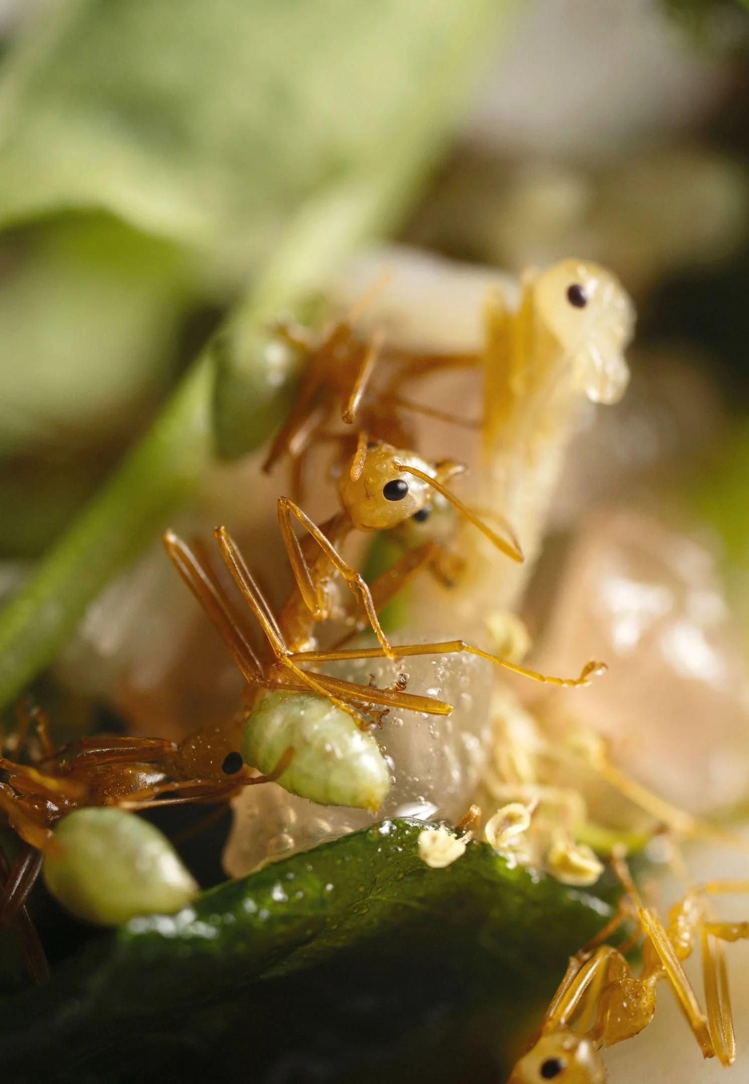 yangaro-laura-sharrad-foodie-retreat-whitsundays-2025 (70).jpg