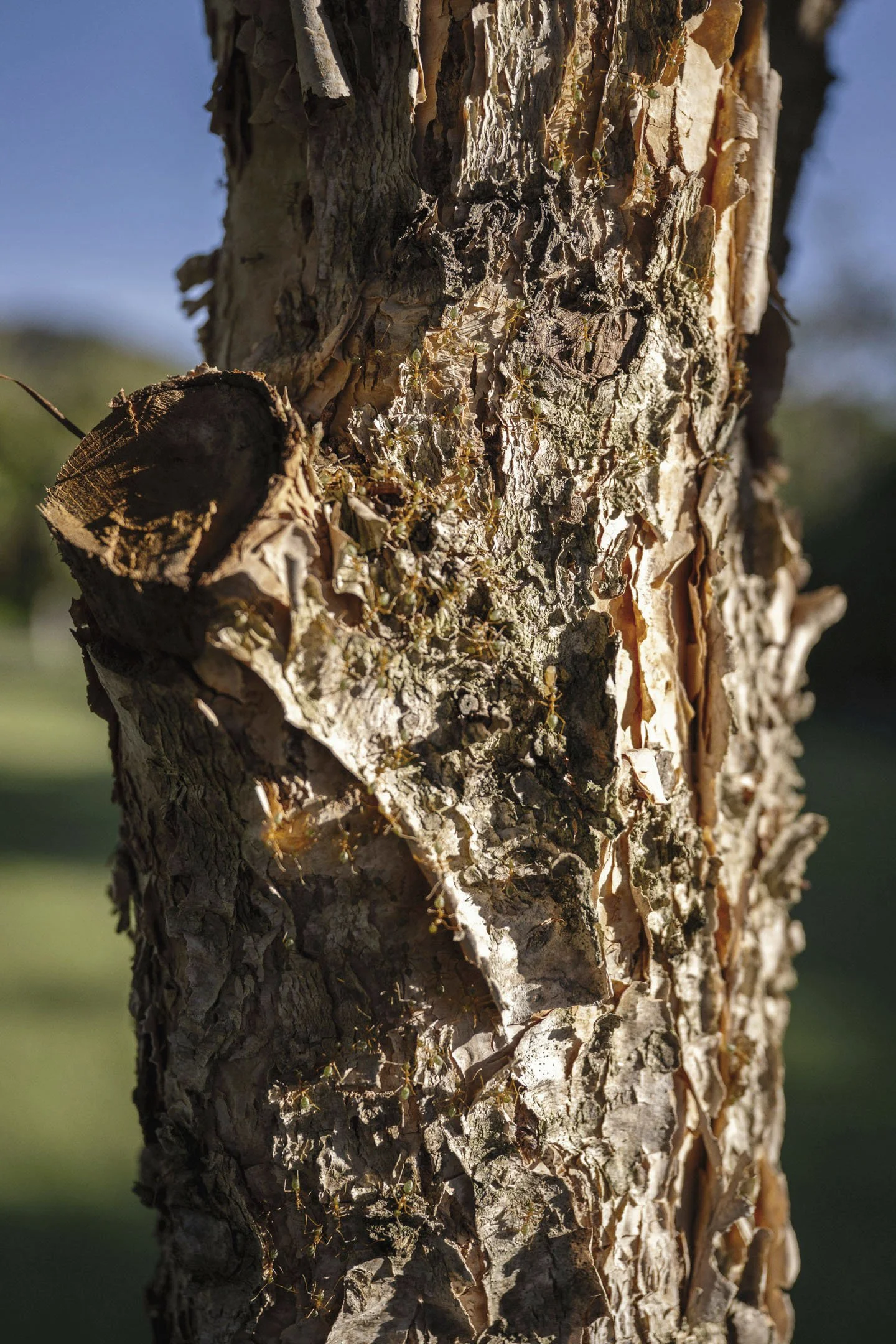 yangaro-laura-sharrad-foodie-retreat-whitsundays-2025 (111).jpg