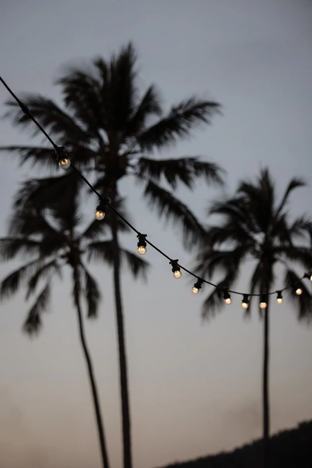 YangaroWeddings_CarmineandCharles_WhiteImages_lowres (10).jpg