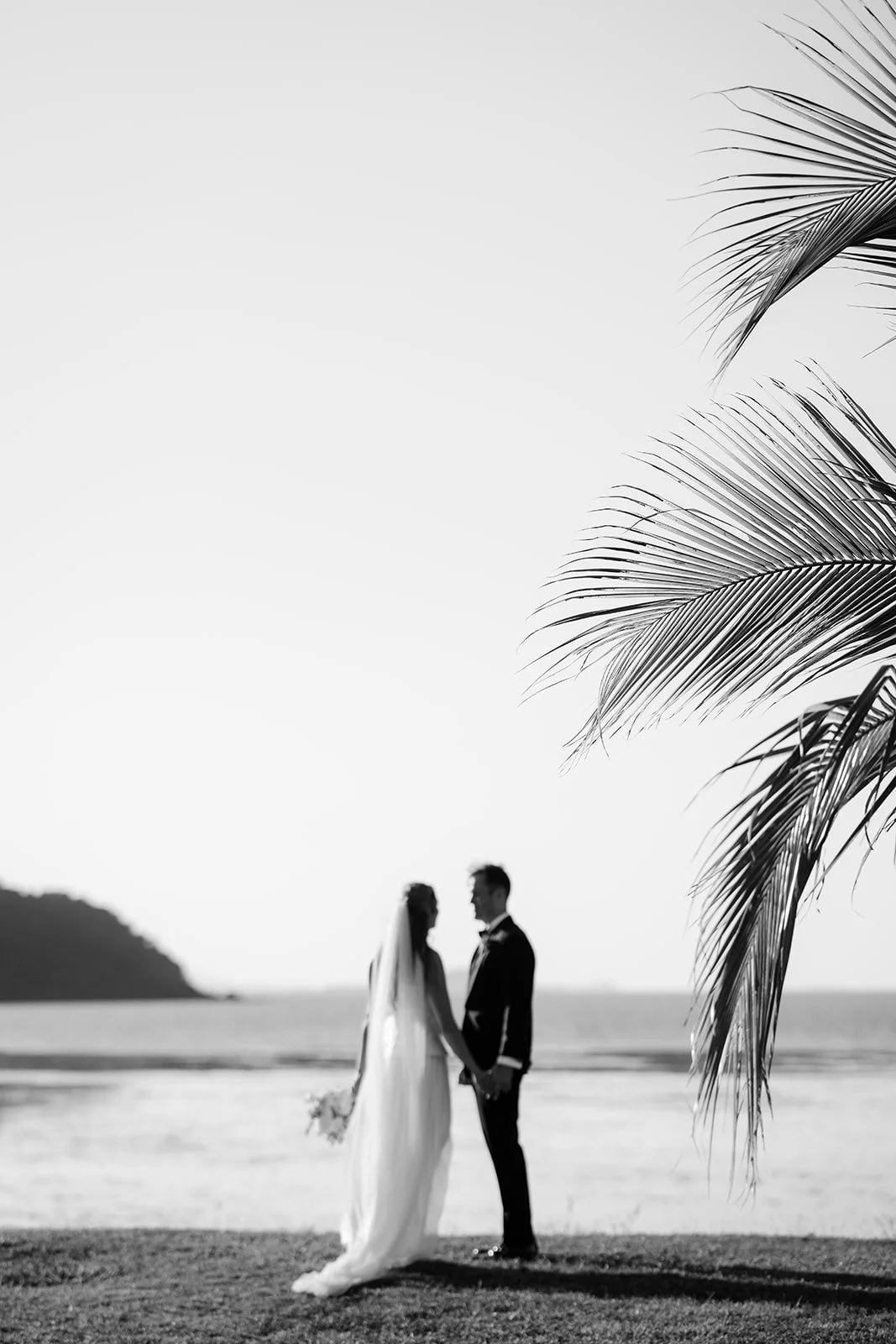 YangaroWeddings_CarmineandCharles_WhiteImages_lowres (42).jpg