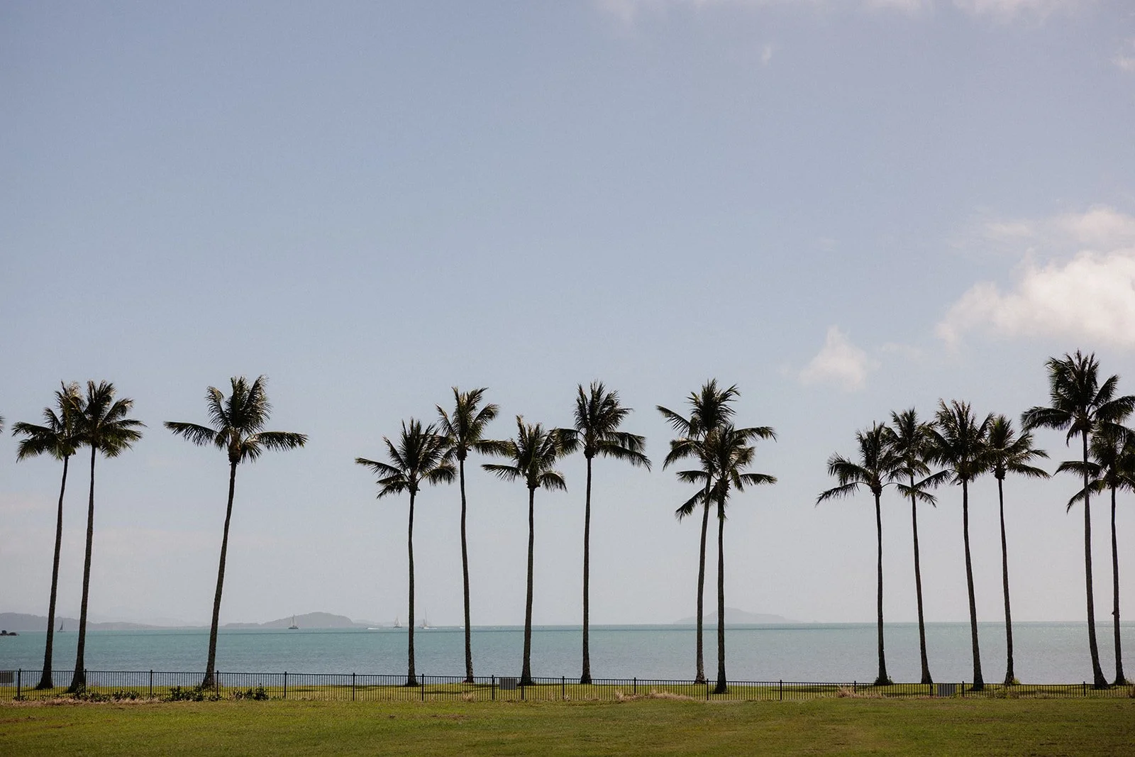 Yangaro_Weddings_Whitsundays_RachaelandTyler_BennedictSutton (2).jpg