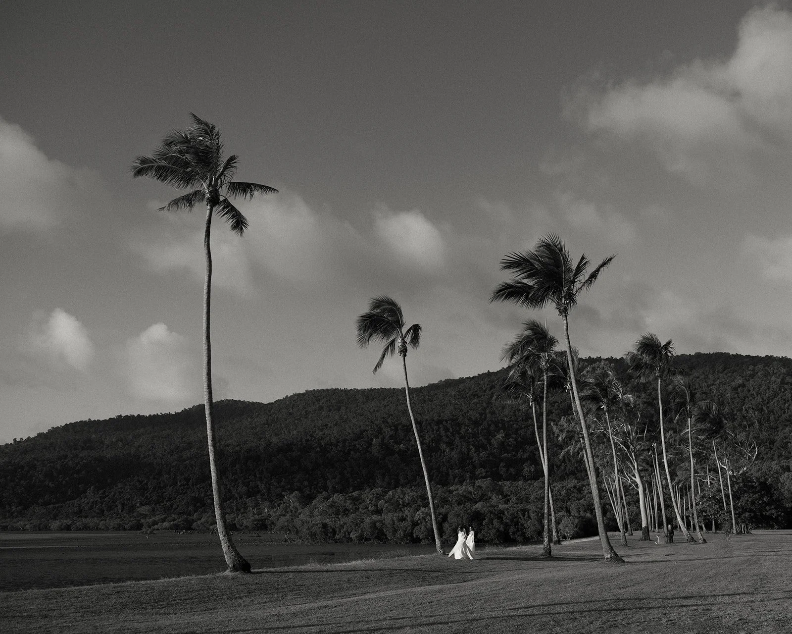 Yangaro_Weddings_Whitsundays_RachaelandTyler_BennedictSutton (42).jpg