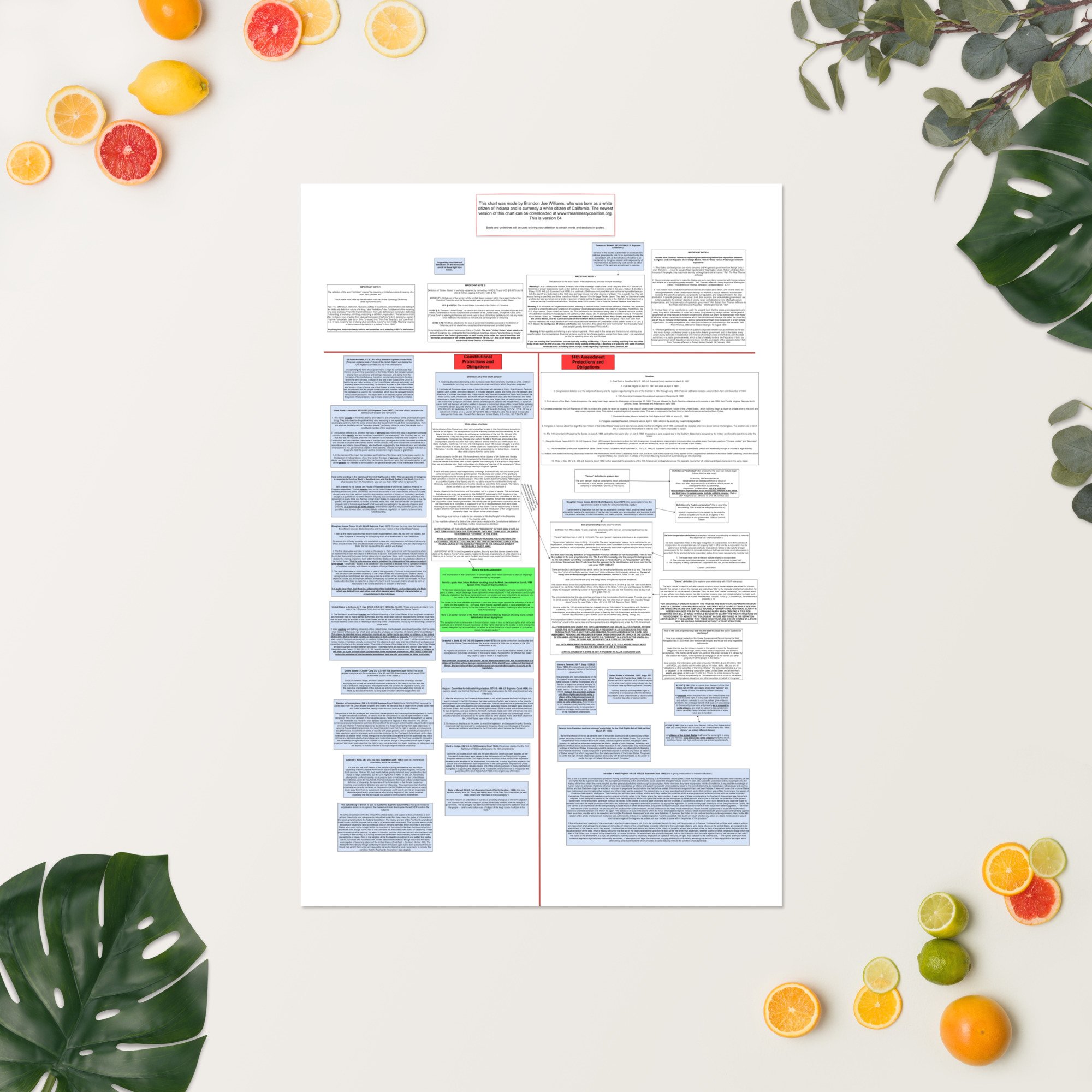 Flowchart: Citizenship (State v. 14th Amendment) — One Stupid Fuck