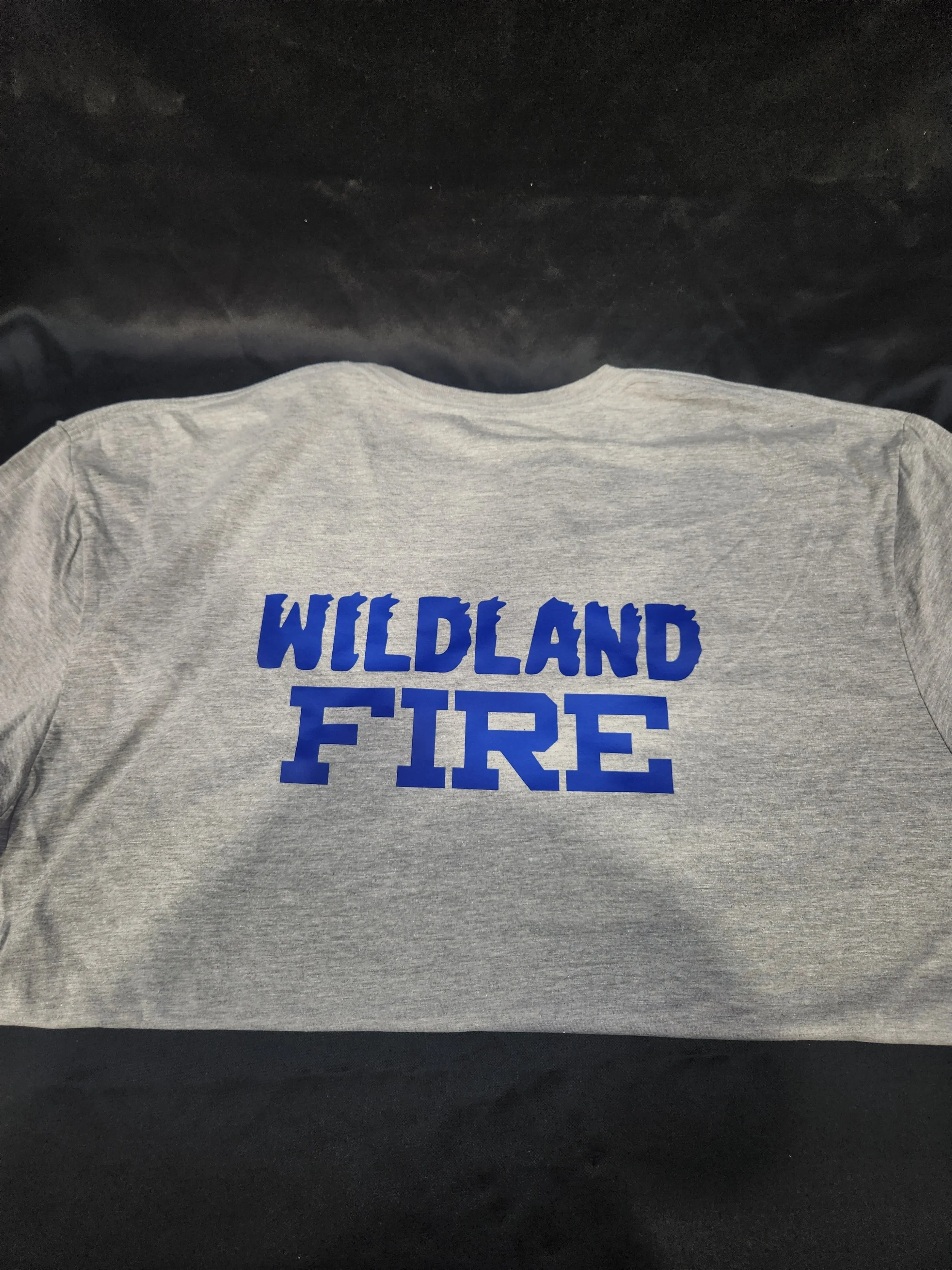 GSC Grey Tshirt Back.jpg