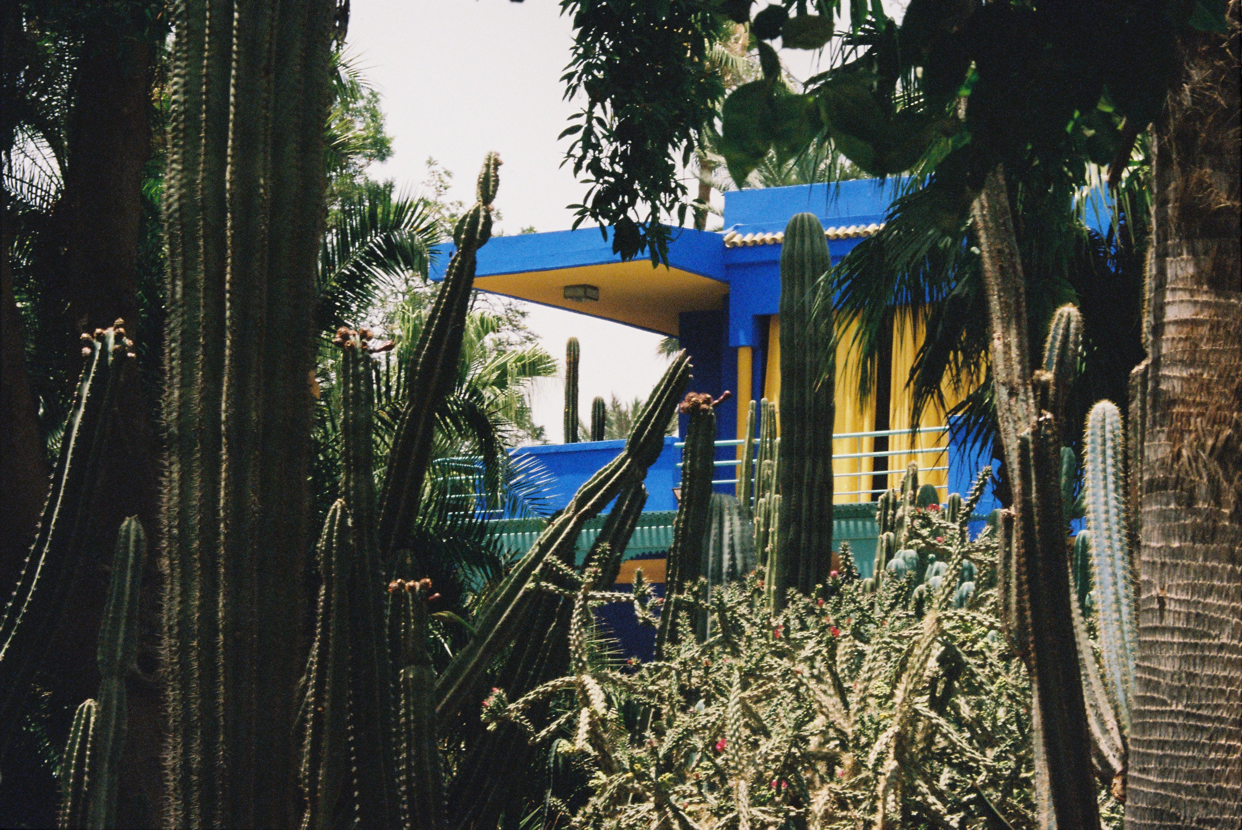 R1-03143-0021.png