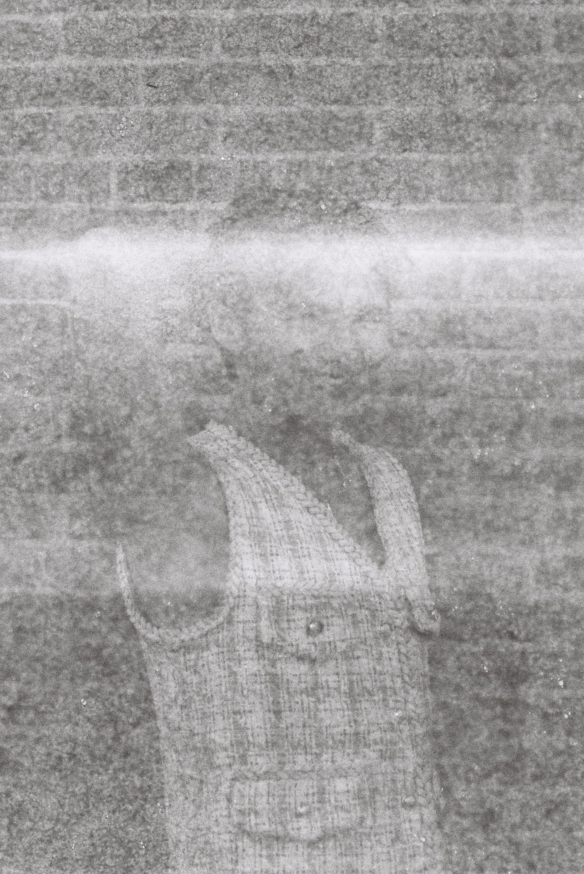 R1-00952-0001.jpg
