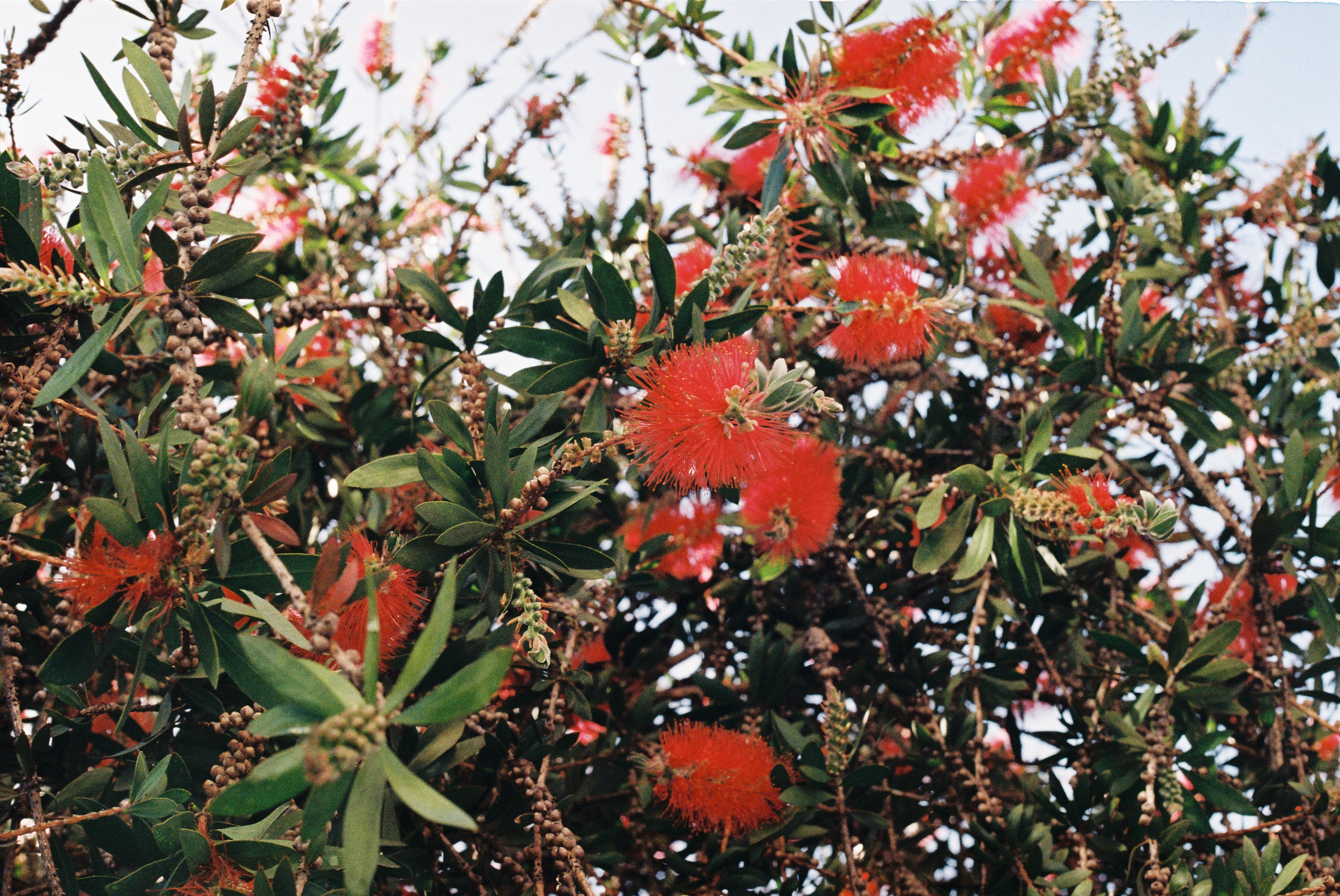 R1-04861-0002.png