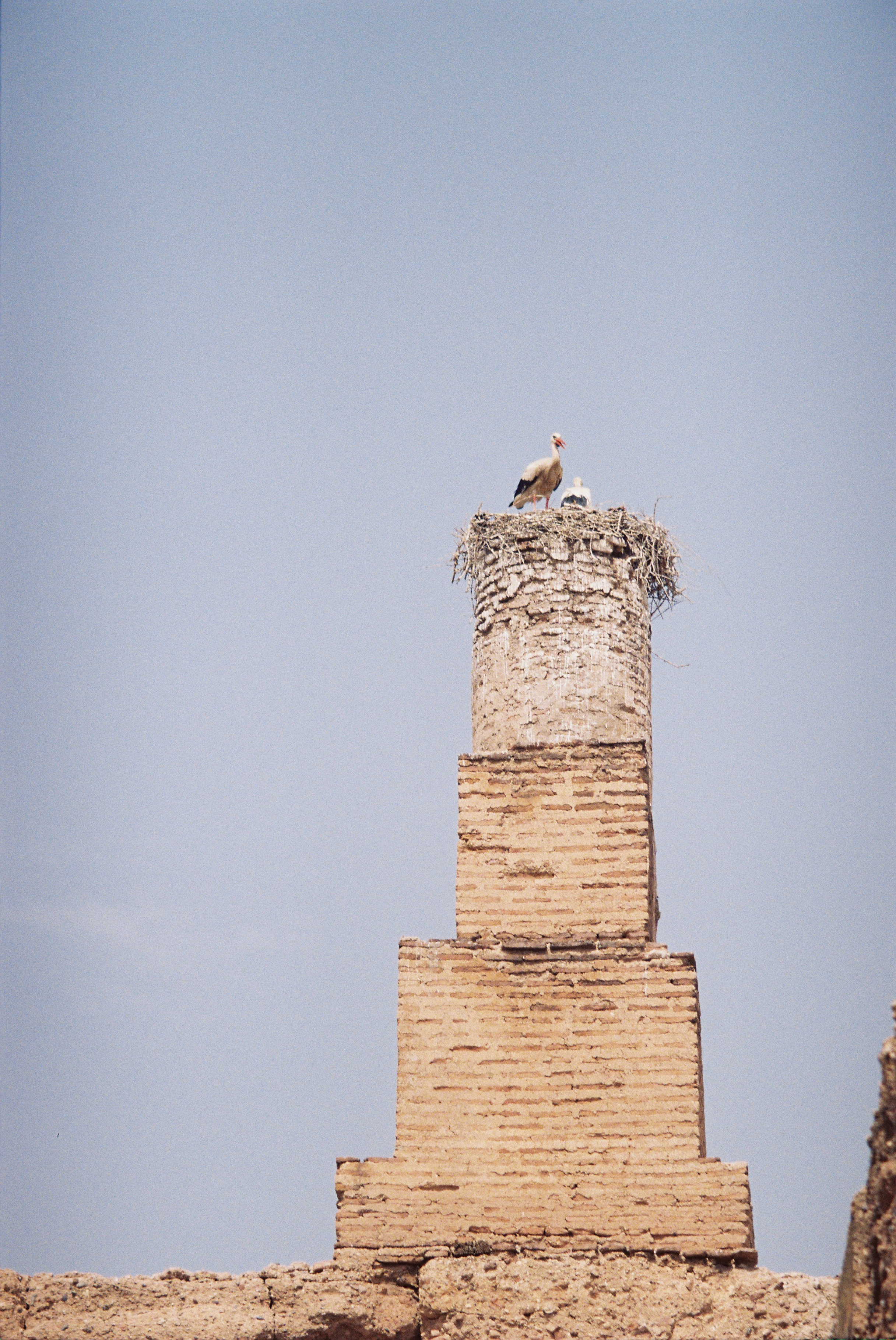 R1-03143-0031.png