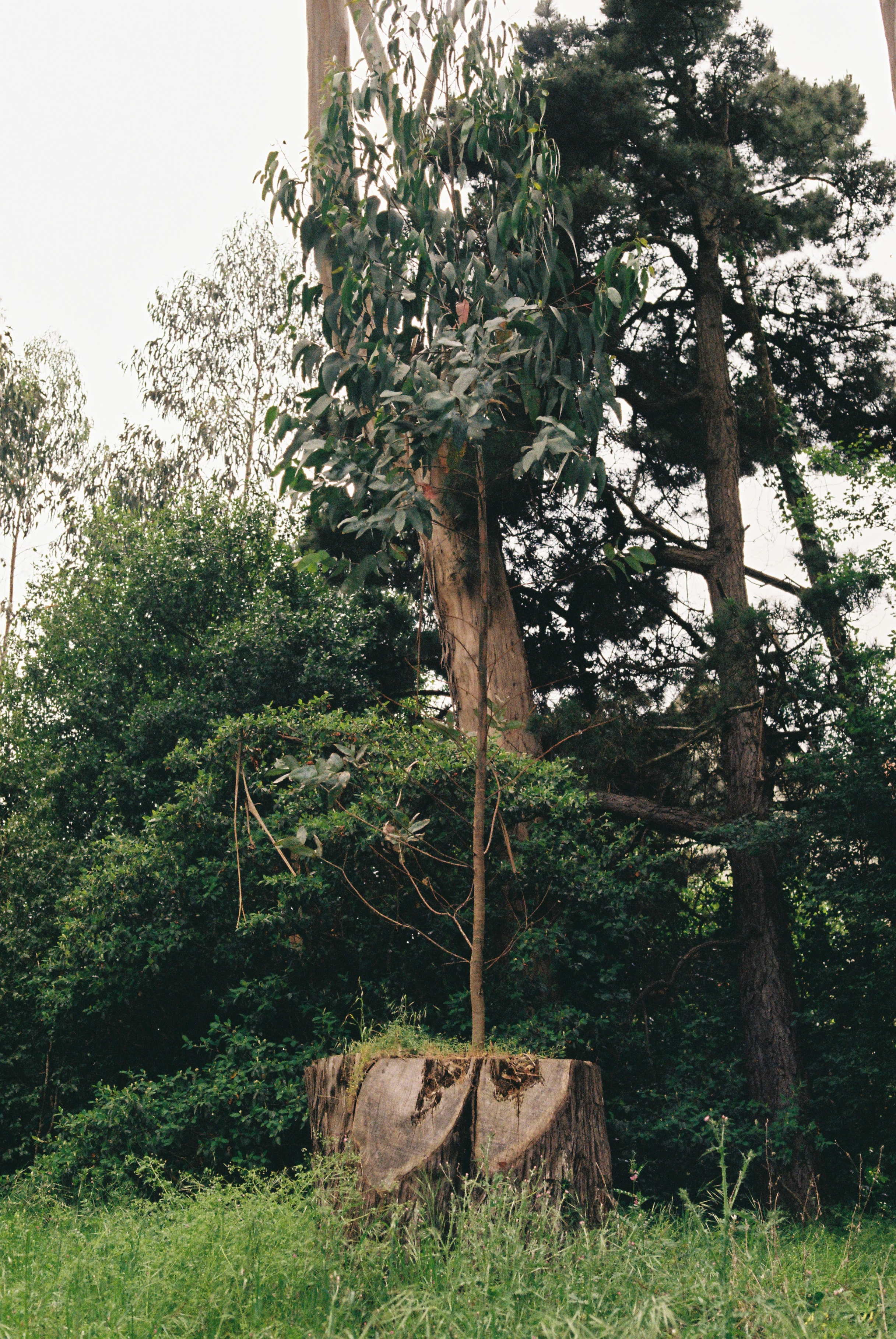 R1-01294-0033.png