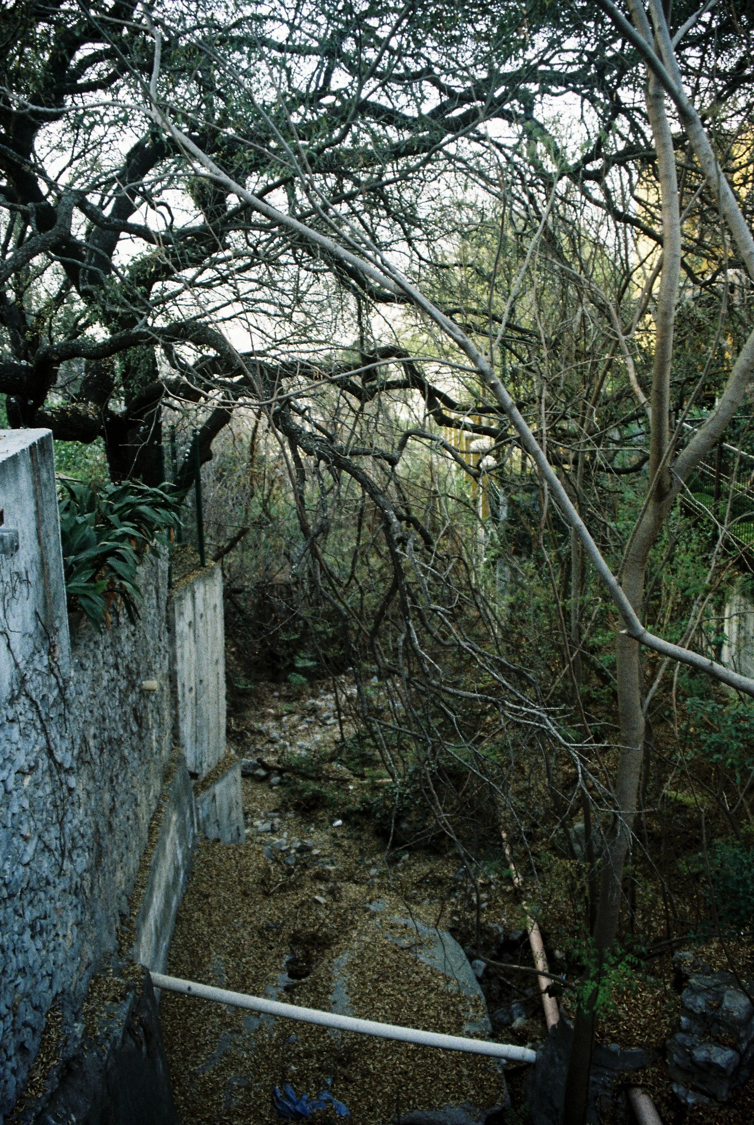 4248-024.jpg
