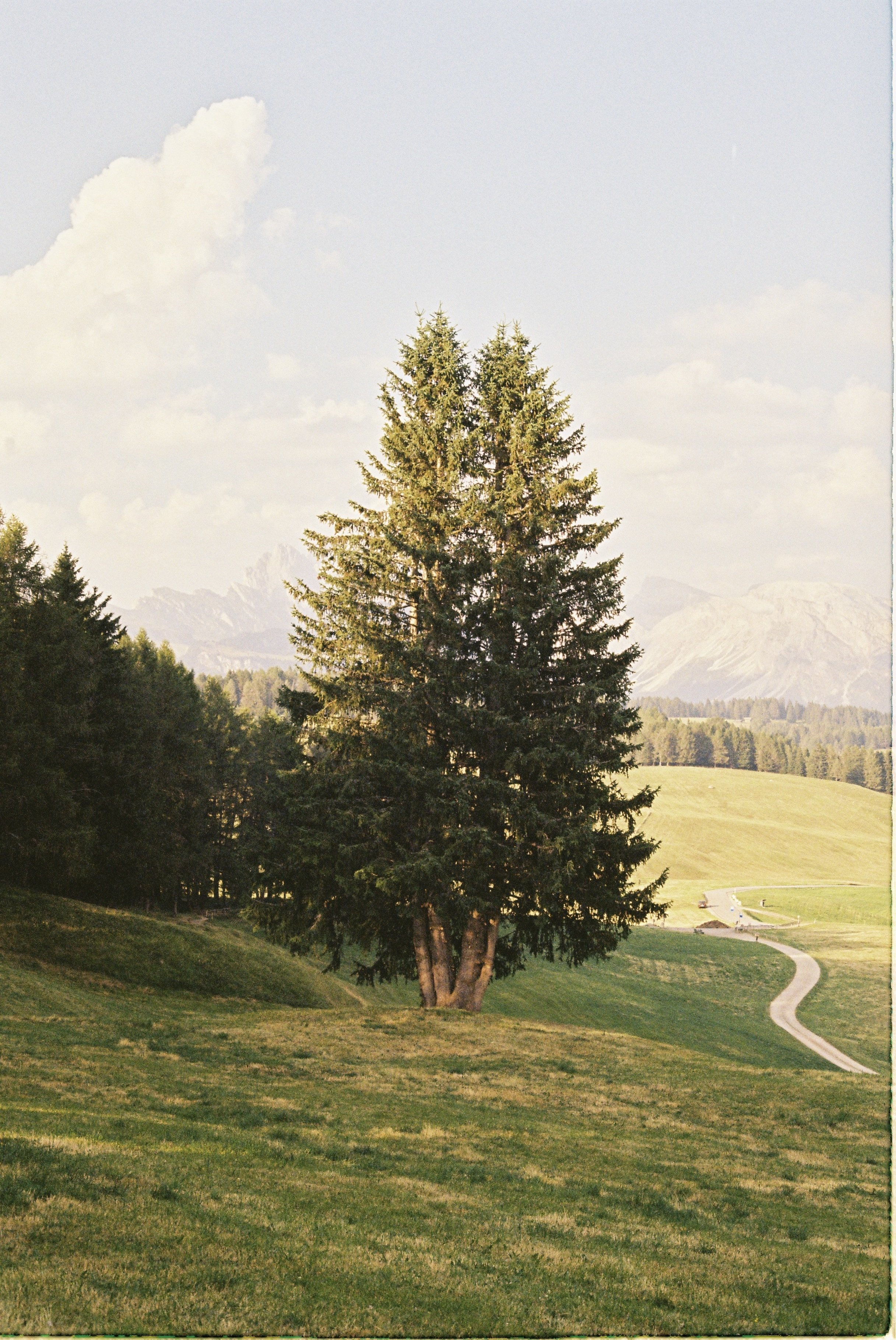 R1-00940-017A.JPG