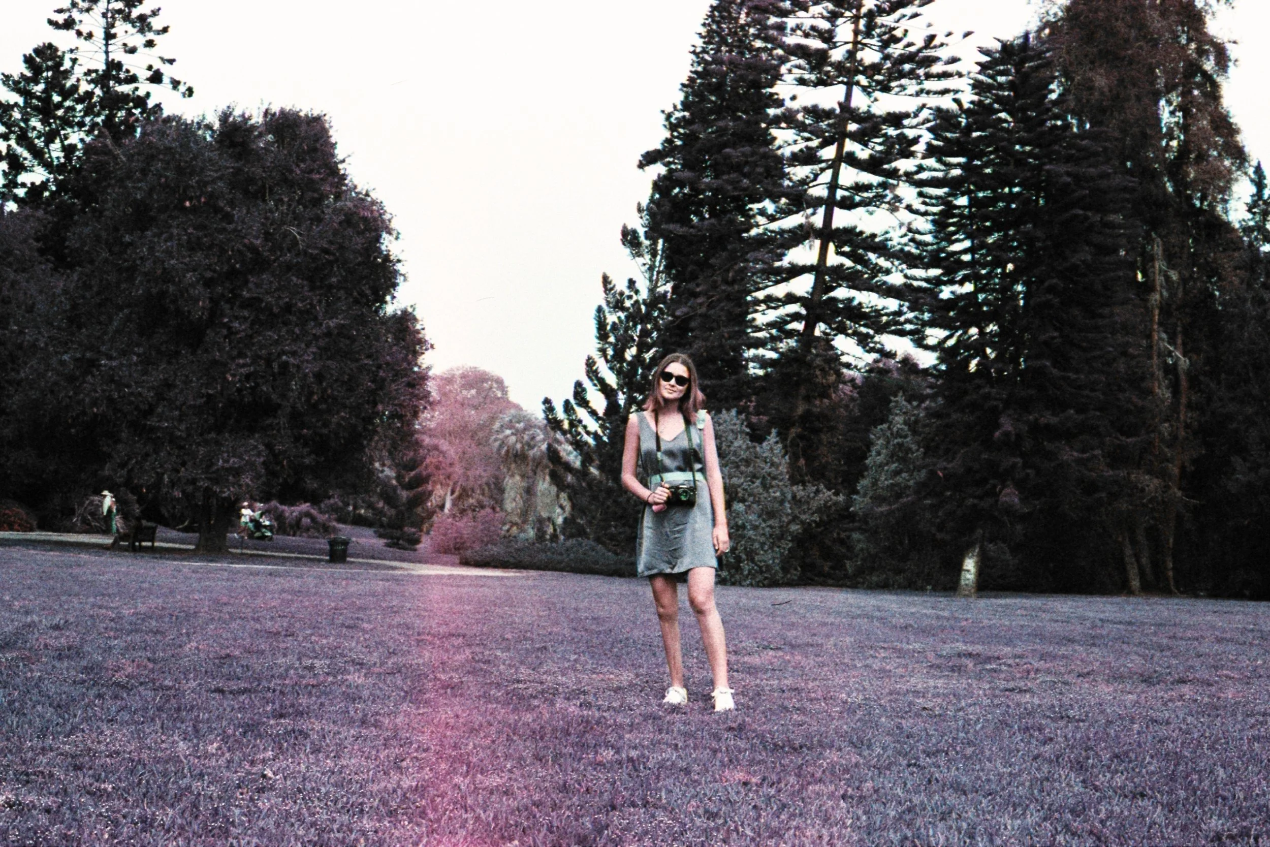 EC9119A5-B966-44C7-B1EB-256280311312.jpeg