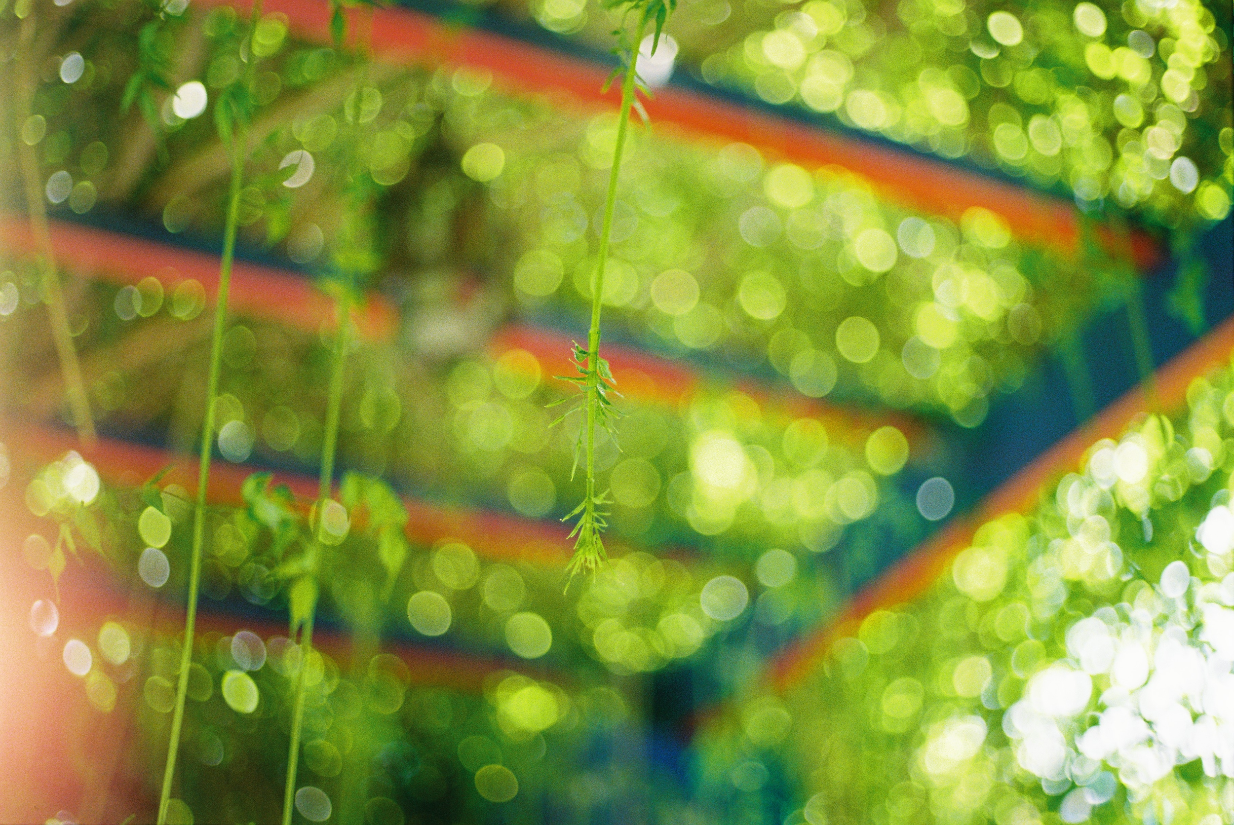 R1-03143-0012.png