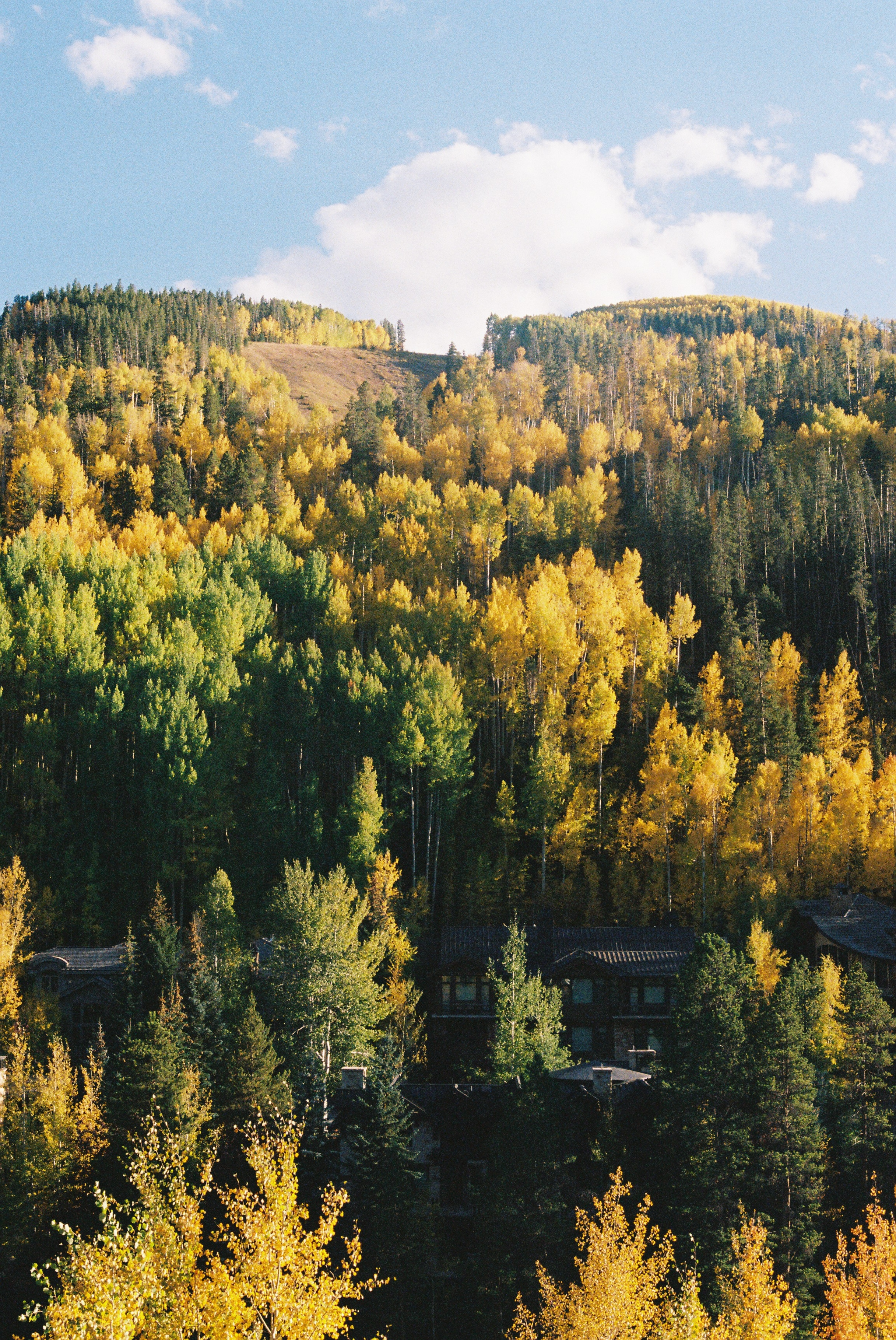 R1-01295-0021.png